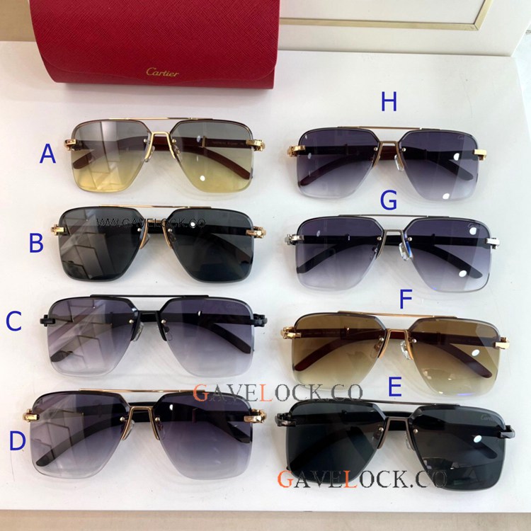 Premiere Cartier T8200766 Fading lens Sunglasses Square